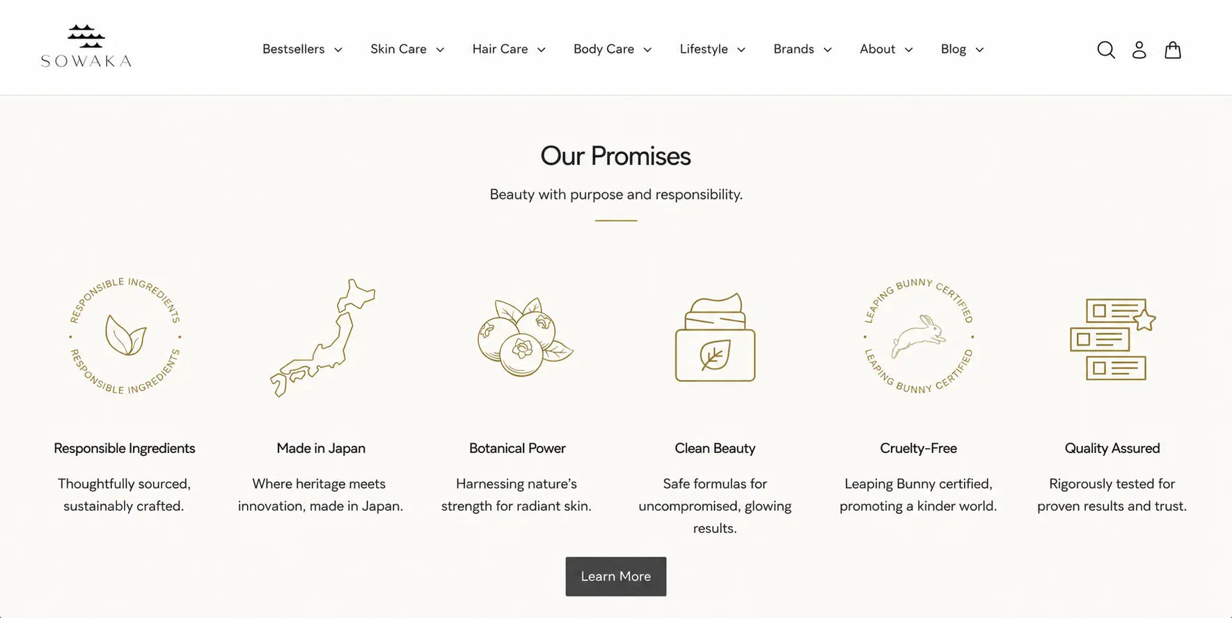 Sowaka promises